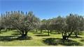 Photo numero 47150332 du bien UBI470892362